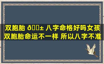 双胞胎 🐱 八字命格好吗女孩「双胞胎命运不一样 所以八字不准」